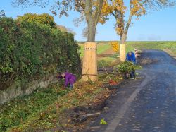 Friedhof_048