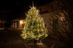 Weihnachtsbaum_001