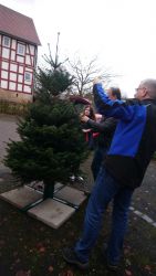 Weihnachtsbaum_002