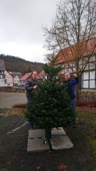 Weihnachtsbaum_003