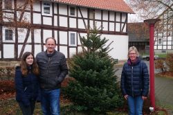 Weihnachtsbaum_004