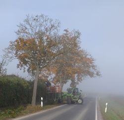 DSC_1668